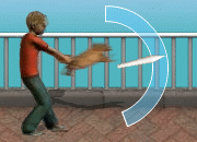 C : @ 0 HL
n : 3 P
{ɫax : Ȯɥ
AƦW :  Q W
CO :  1 
v : 800   = 1 
IiJ : ߳ - C
C : BηƹI , Nߩߨ̻
